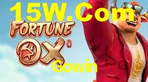 Experiência VIP Gowin
